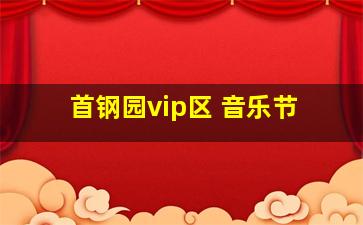 首钢园vip区 音乐节